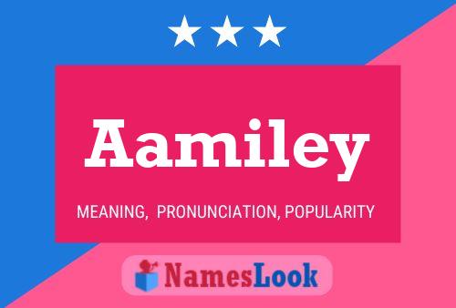 Poster del nome Aamiley