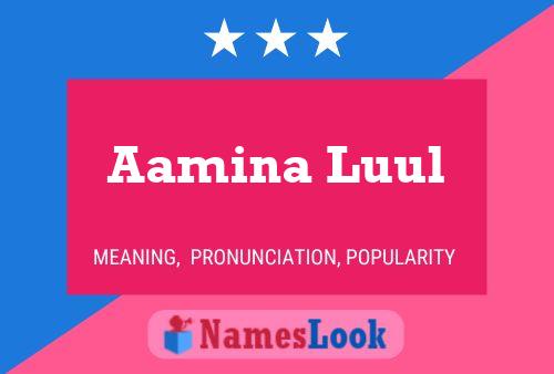 Poster del nome Aamina Luul