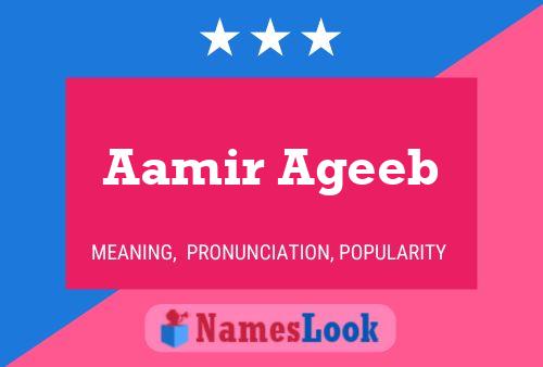 Poster del nome Aamir Ageeb