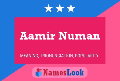 Poster del nome Aamir Numan