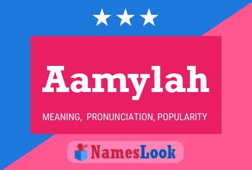 Poster del nome Aamylah