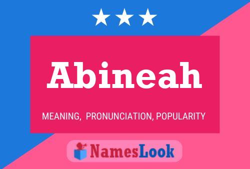 Poster del nome Abineah