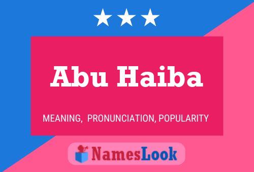 Poster del nome Abu Haiba