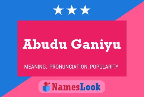 Poster del nome Abudu Ganiyu