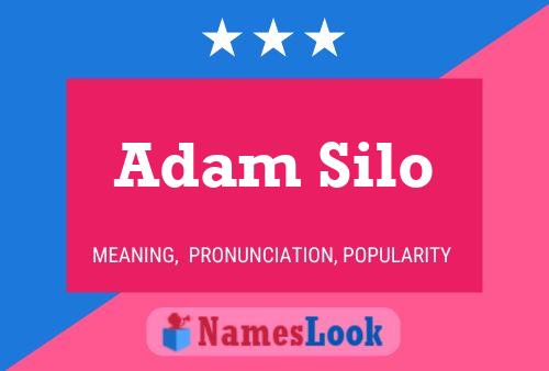 Poster del nome Adam Silo