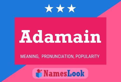 Poster del nome Adamain