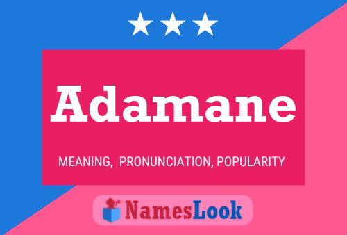 Poster del nome Adamane