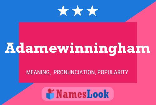 Poster del nome Adamewinningham