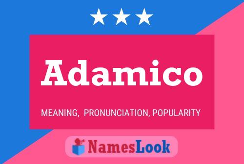 Poster del nome Adamico