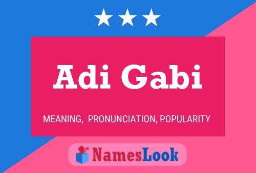 Poster del nome Adi Gabi