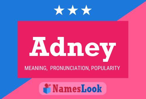 Poster del nome Adney