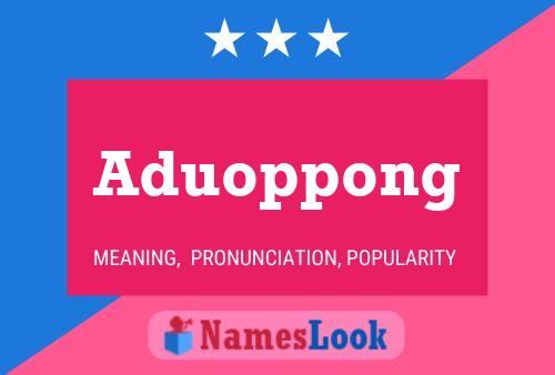 Poster del nome Aduoppong