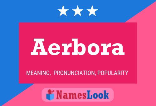 Poster del nome Aerbora