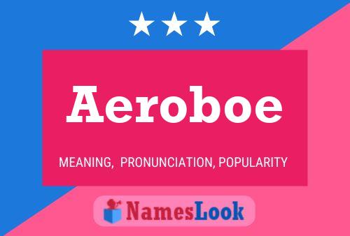 Poster del nome Aeroboe