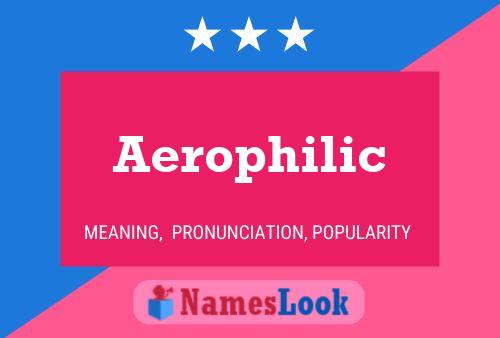 Poster del nome Aerophilic