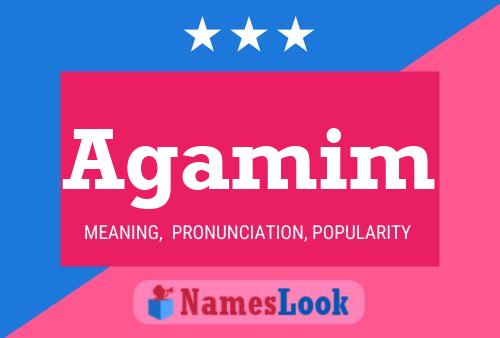 Poster del nome Agamim