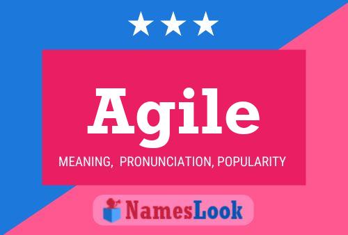 Poster del nome Agile