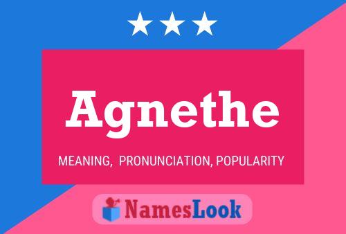 Poster del nome Agnethe