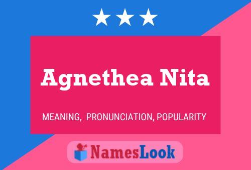 Poster del nome Agnethea Nita