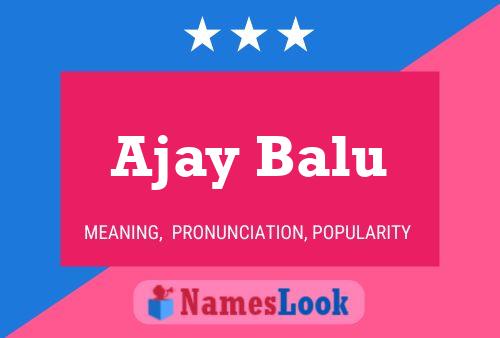 Poster del nome Ajay Balu