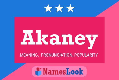 Poster del nome Akaney