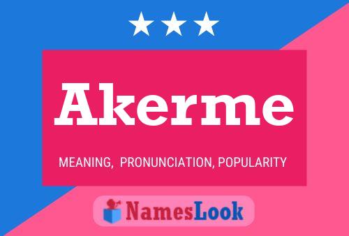 Poster del nome Akerme