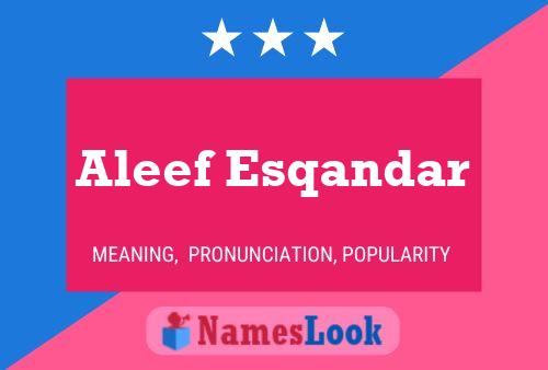 Poster del nome Aleef Esqandar