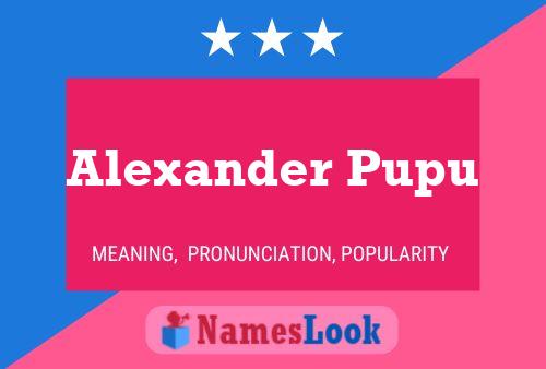 Poster del nome Alexander Pupu