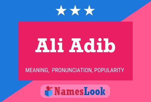 Poster del nome Ali Adib