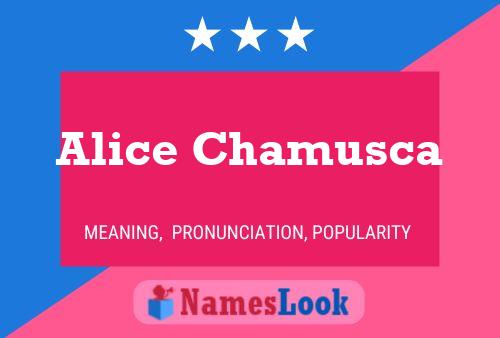 Poster del nome Alice Chamusca