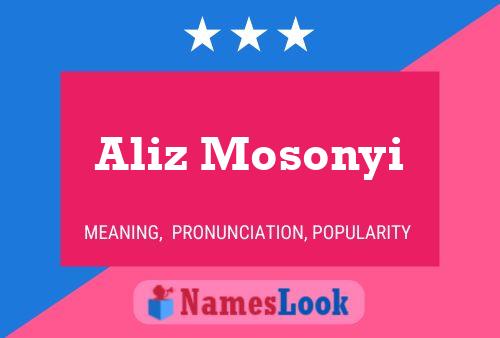 Poster del nome Aliz Mosonyi