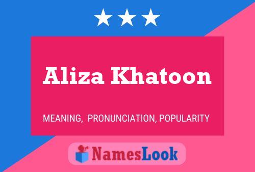 Poster del nome Aliza Khatoon