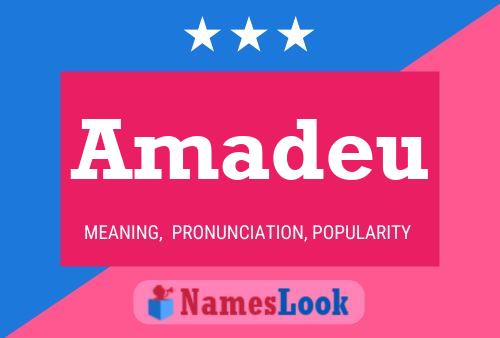 Poster del nome Amadeu