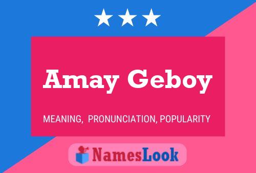 Poster del nome Amay Geboy