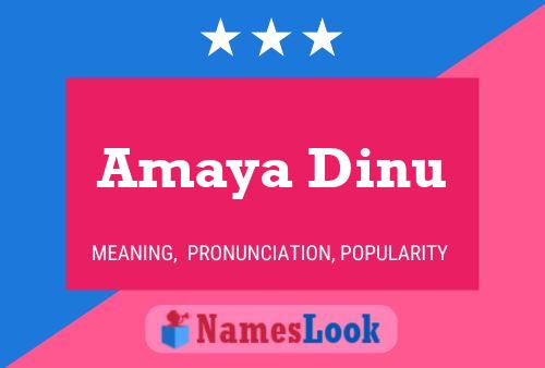 Poster del nome Amaya Dinu