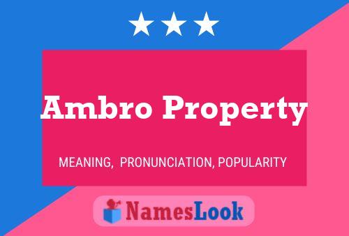 Poster del nome Ambro Property