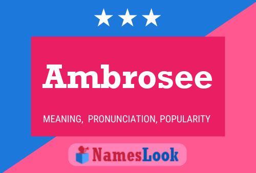 Poster del nome Ambrosee