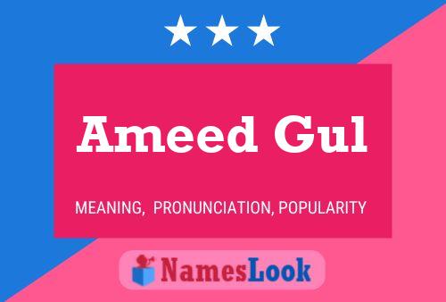 Poster del nome Ameed Gul