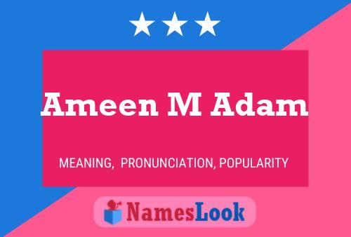 Poster del nome Ameen M Adam