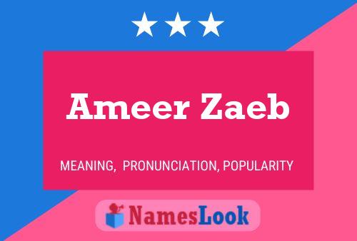 Poster del nome Ameer Zaeb