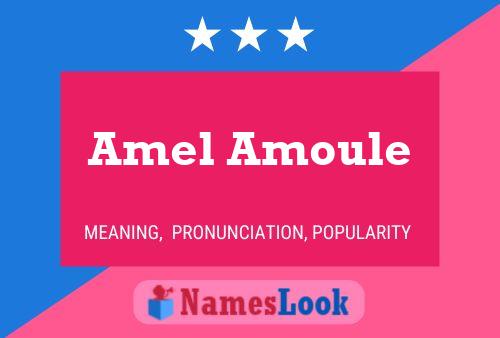 Poster del nome Amel Amoule