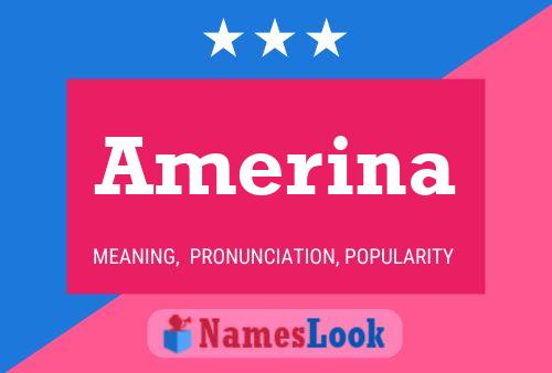 Poster del nome Amerina