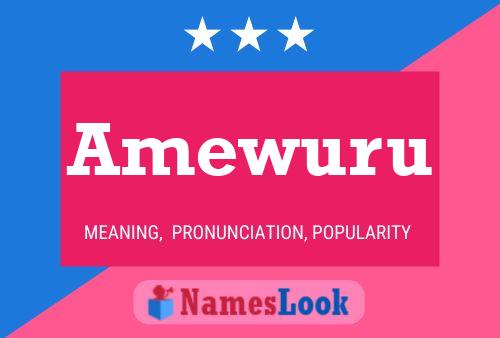 Poster del nome Amewuru