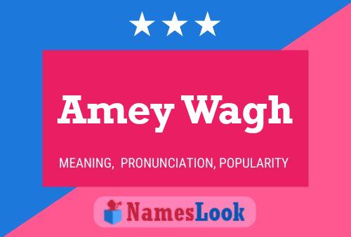 Poster del nome Amey Wagh