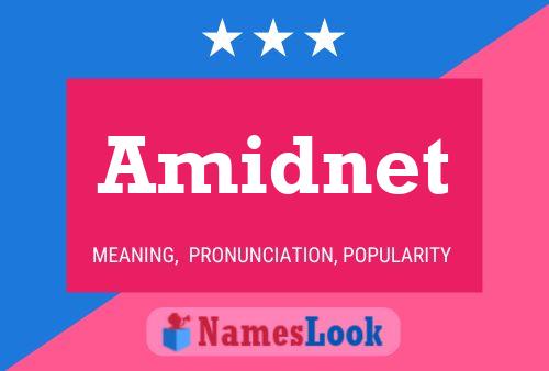 Poster del nome Amidnet