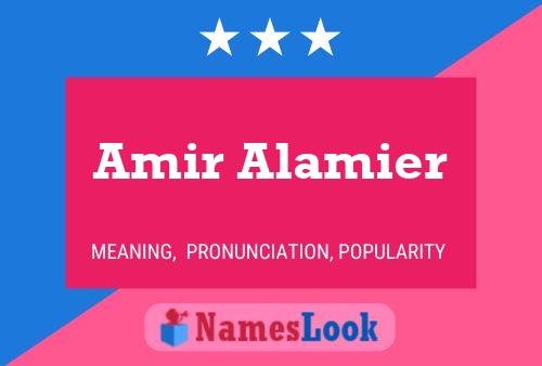 Poster del nome Amir Alamier