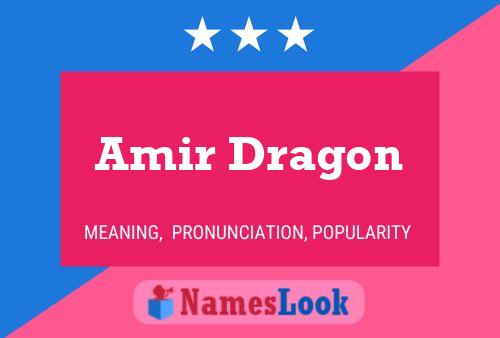 Poster del nome Amir Dragon