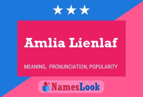 Poster del nome Amlia Lienlaf