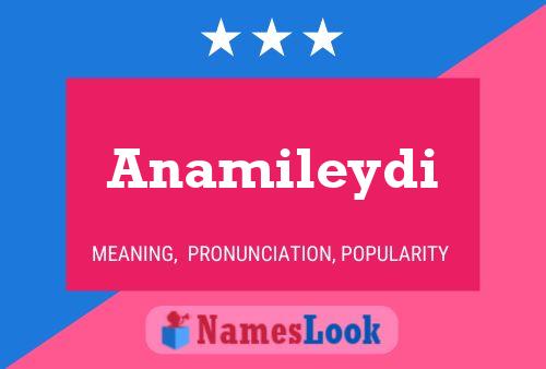 Poster del nome Anamileydi