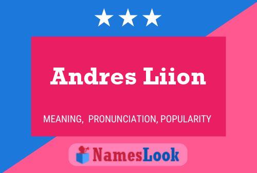 Poster del nome Andres Liion